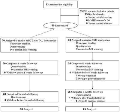 Mindfulness-Based Cognitive Therapy Regulates Brain Connectivity in Patients With Late-Life Depression